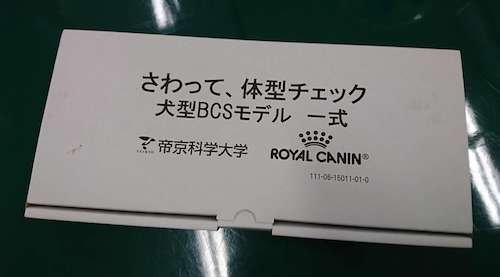 1534423611006.jpg