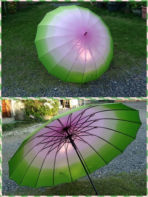 20-08-02-18-35-59-402_deco.jpg