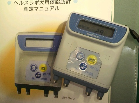 2011011700060000.jpg