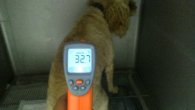 2011081518030003.jpg