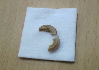2011120816270001.jpg