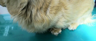 2011120816280001.jpg