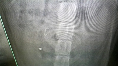 2012013016390000.jpg