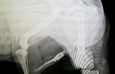2012020711350000.jpg