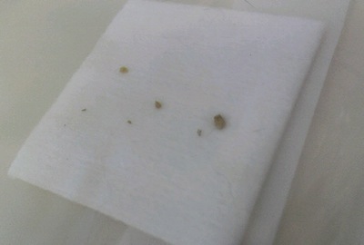 2012020711350001.jpg
