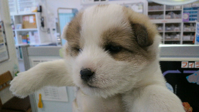 2012021112090001.jpg
