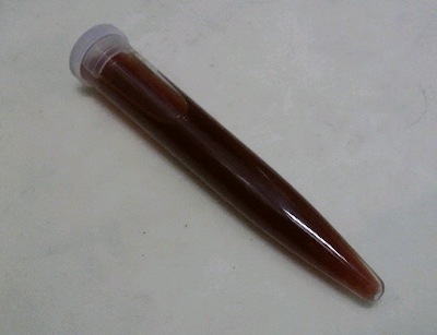 2012021307520001.jpg