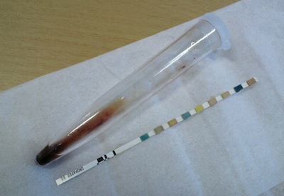 2012021307520002.jpg