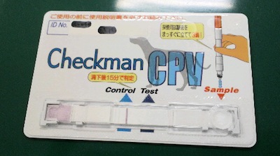 2012030516190000.jpg