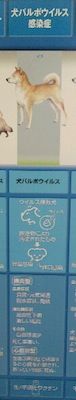 2012030516380000.jpg