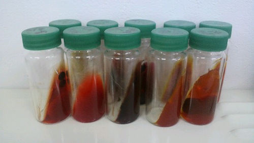 2013053116470000.jpg