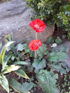 20181101_075949.jpg