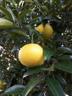 20181101_080031.jpg