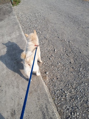 20190407_154948.jpg