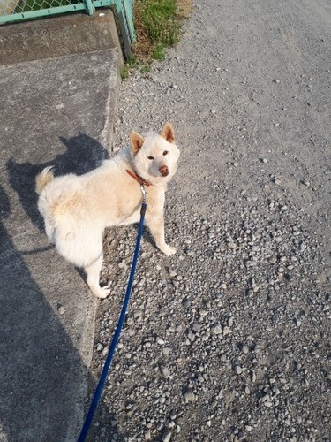 20190407_154953.jpg
