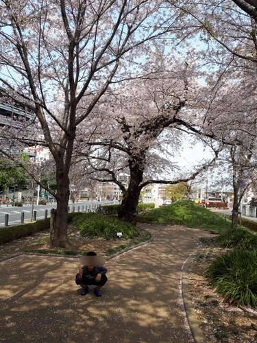 20190408_101653.jpg