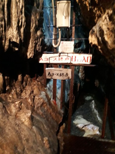 20190503_135009.jpg