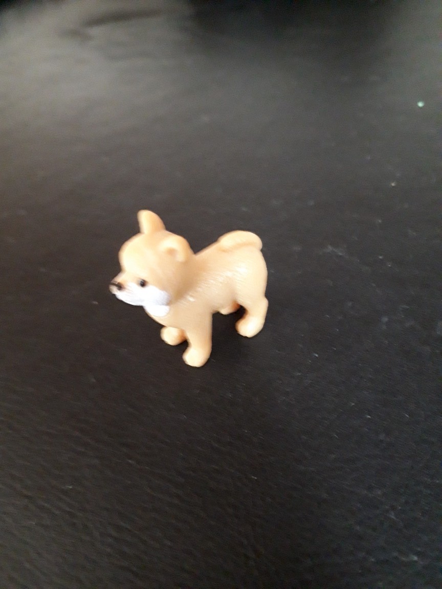 20190604_084027.jpg
