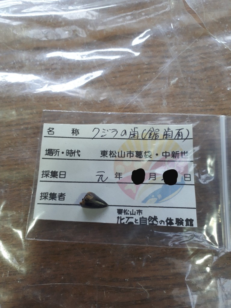 20190704_121358.jpg