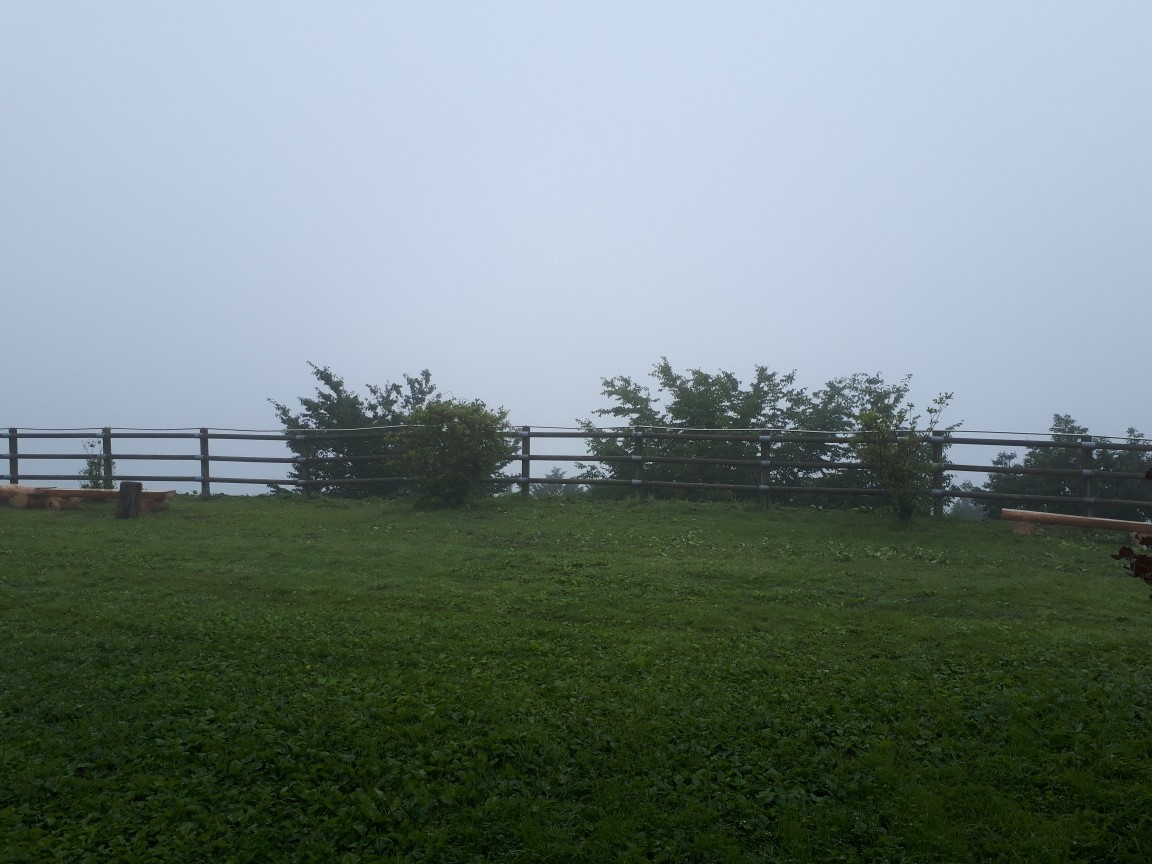 20190714_141743.jpg