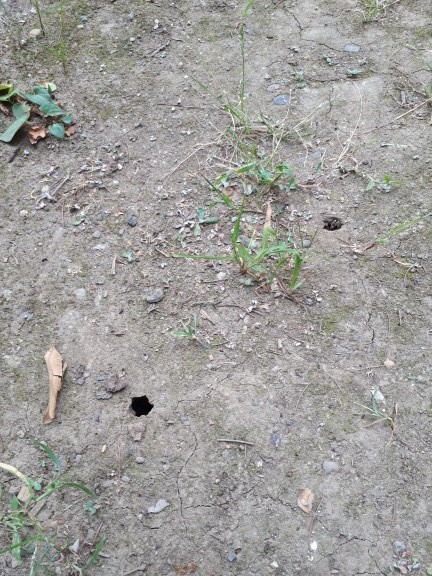 20190811_123040.jpg