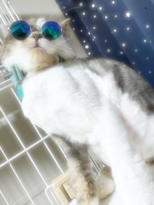 20200622-2.png