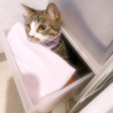 20200705-2.png