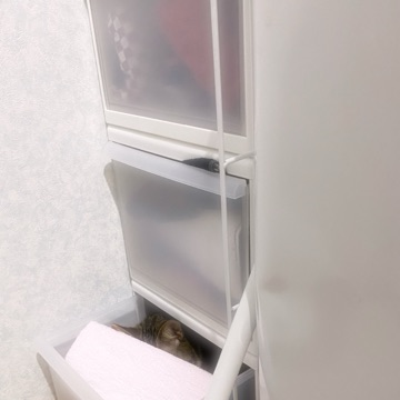 20200705.png