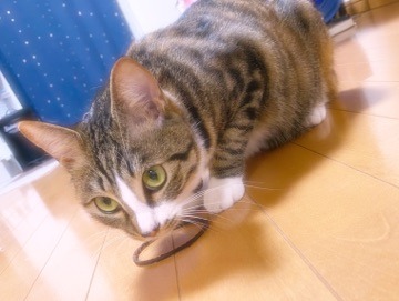 20200720-2.jpg