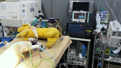 DCIM3813.JPG