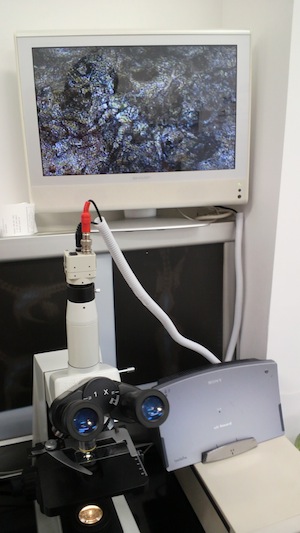 DCIM6796.jpg