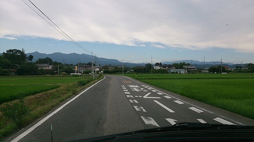 DSC_0125.jpg