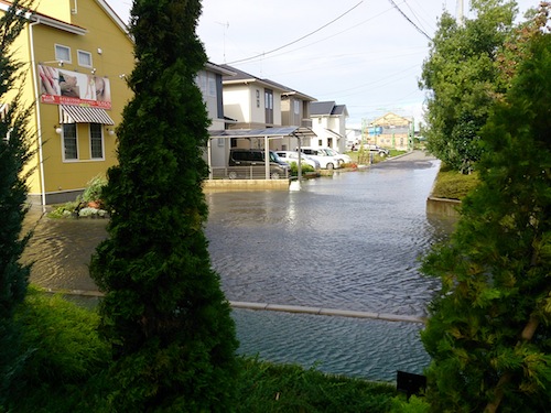 DSC_1125.jpg