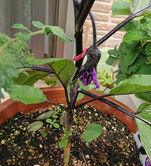 DSC_1221.jpg
