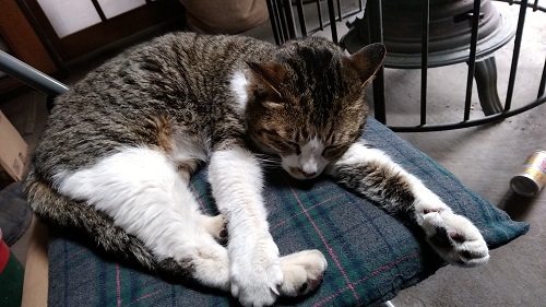 DSC_1762.jpg
