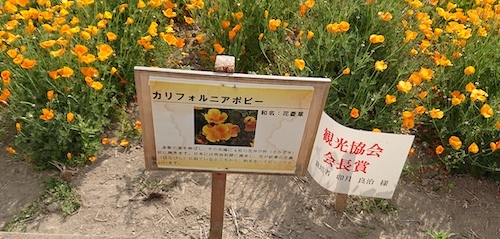 DSC_2623.jpg
