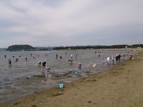 DSC_3854.jpg