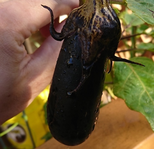 DSC_5625.jpg