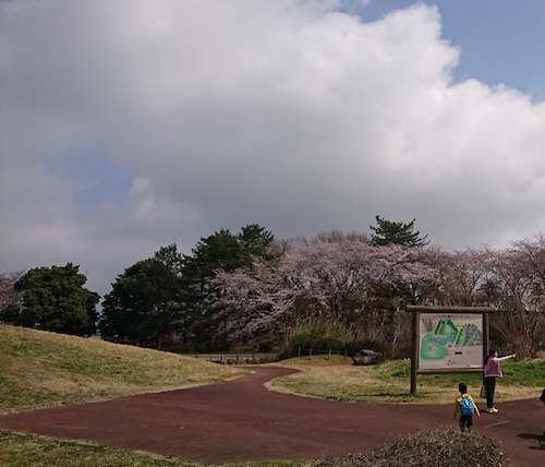 DSC_9607.jpg