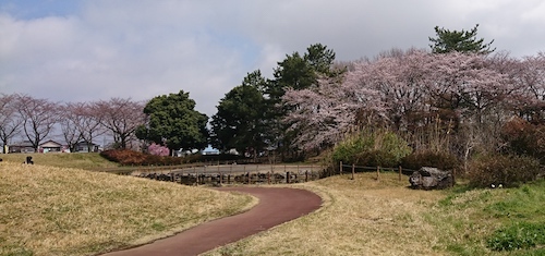 DSC_9612.jpg