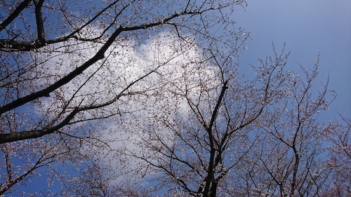 DSC_9638.jpg