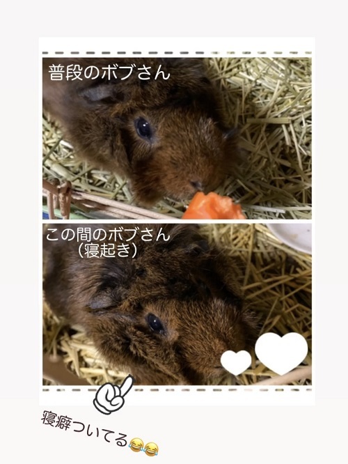 ぼ1.jpg