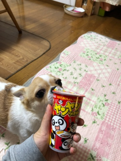 やんやん棒.png