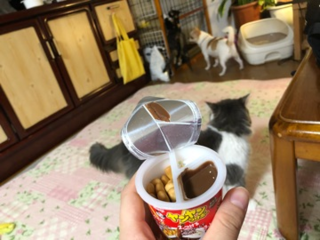 やんやん棒2.png