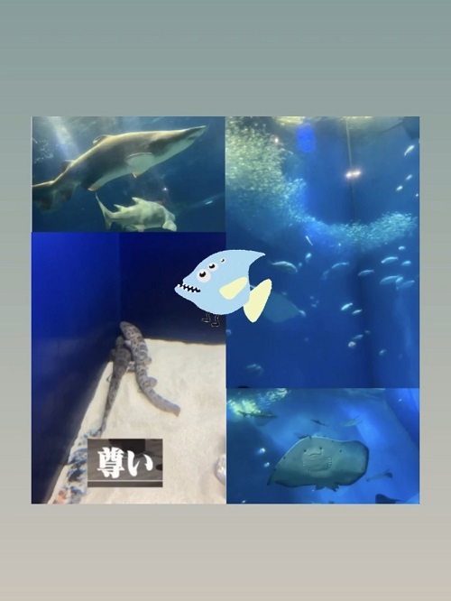 アクアリウム1.jpg