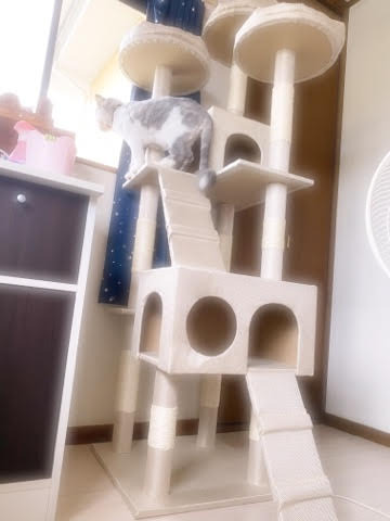 ブログ0914−2.jpg