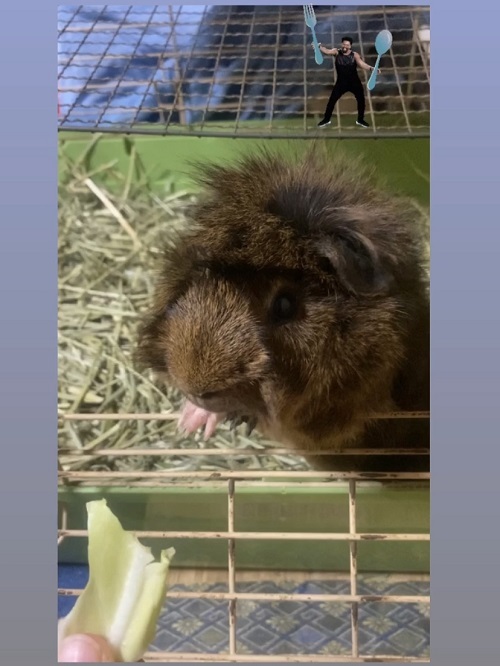ボブんこ1.jpg