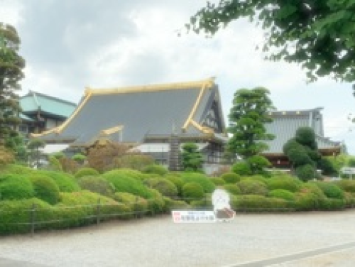 佐野1.png