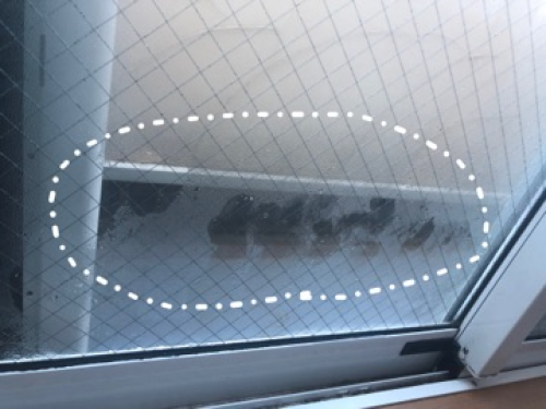 千の窓舐め2.png