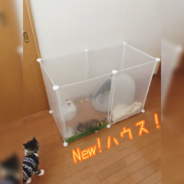 千ハウス.png